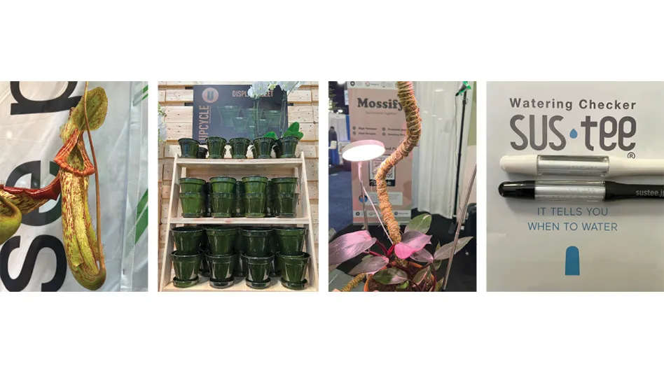Four photos: The first shows a Miranda pitcher plant, the second shows stacks of upcycled metal pots, the third shows a clip-on grow light and the fourth shows a water meter.