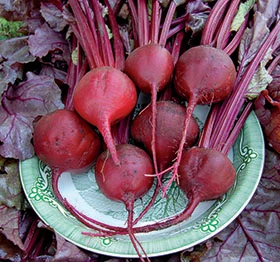 A bundle of beets.