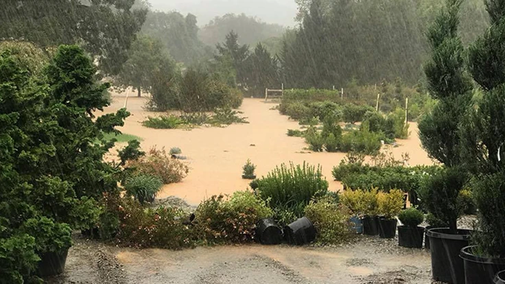 Water floods the outside of a garden center. Rain pours down and plants are knocked over.