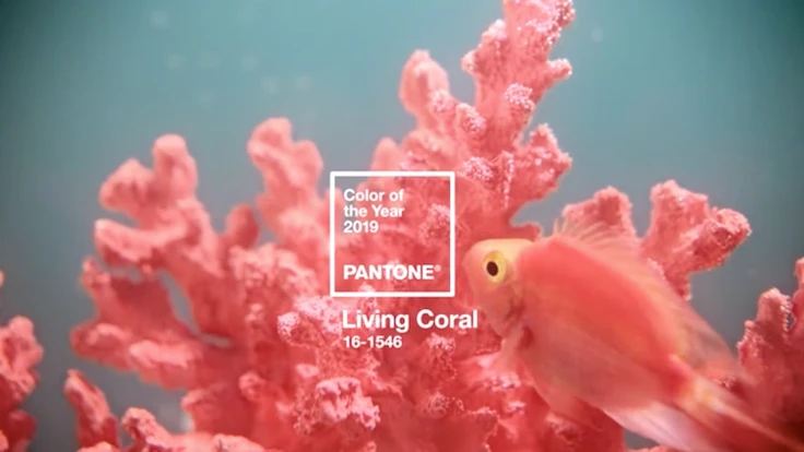 Living Coral is Pantone's 2019 Color of the Year.