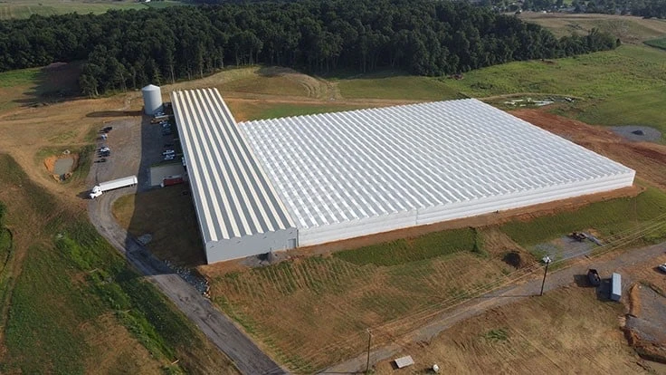 The Plant Company greenhouse.