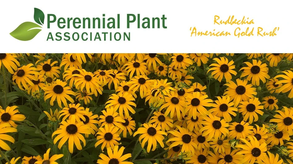 Perennial Plant Association