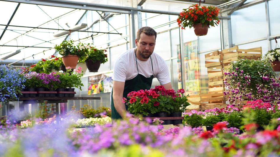 To the customer, not placing the trays down gently indicates a lack of admiration for the plants.