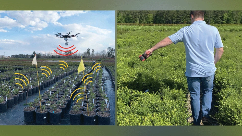 Two side-by-side photos. To the left are rows of black plant pots with brown soil and small green trees on black landscaping fabric in a field. A drone flies above. Graphics of yellow half-circles go from the plants to the drone, and a graphic of red half-circles go from the drone to the plants. The photo on the right shows a person wearing a light blue shirt and blue jeans standing in a green field with his left arm extended holding an orange and black scanning tool.